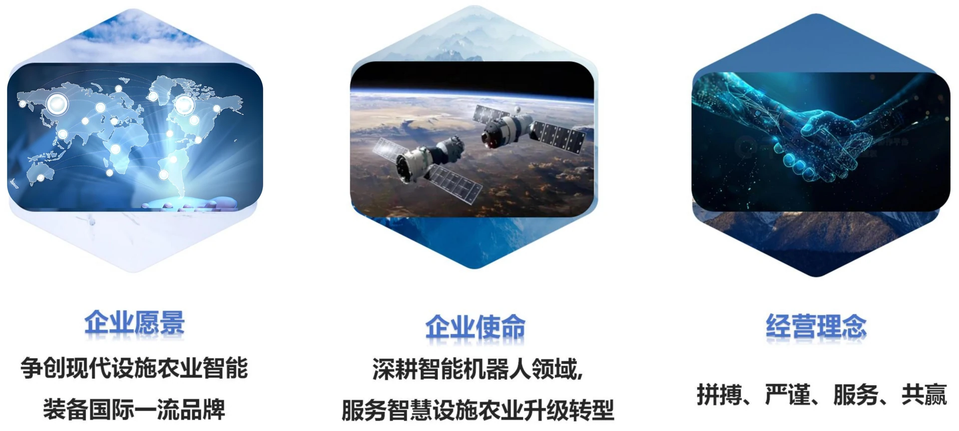 企业文化