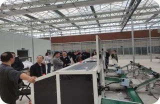 重庆潼南茄果类机械化嫁接育苗基地