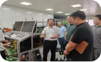 广东茄果类机械化嫁接育苗基地
