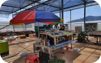 广西南宁茄果类机械化嫁接育苗基地