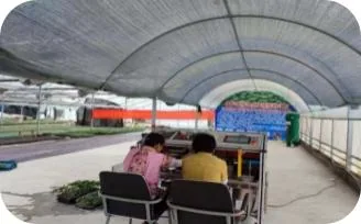 江苏盐城瓜类机械化嫁接育苗基地