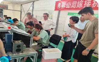 山东济南瓜类机械化嫁接育苗基地