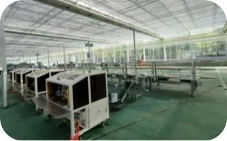 山东泰安茄果类机械化嫁接育苗基地