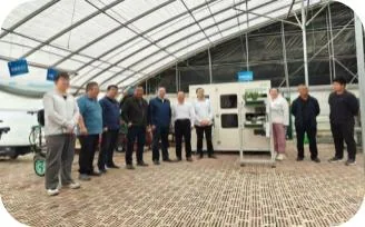 新疆喀什茄果类机械化嫁接育苗基地